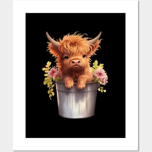 Image Of A Lovely Miniature Scottish Cow Posters and Art